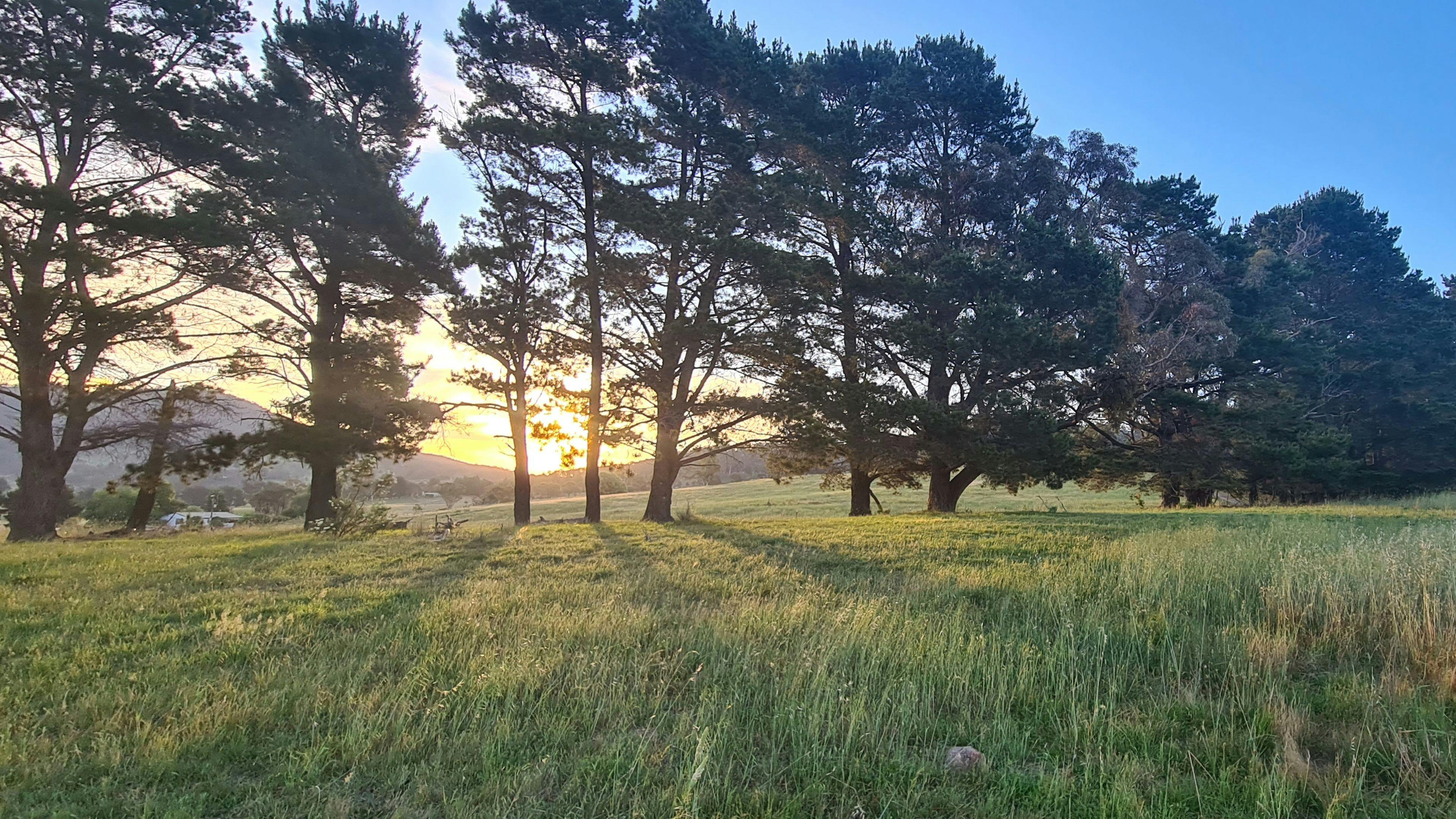 Longview