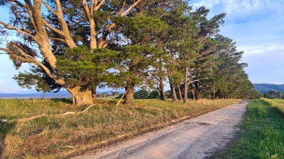Longview