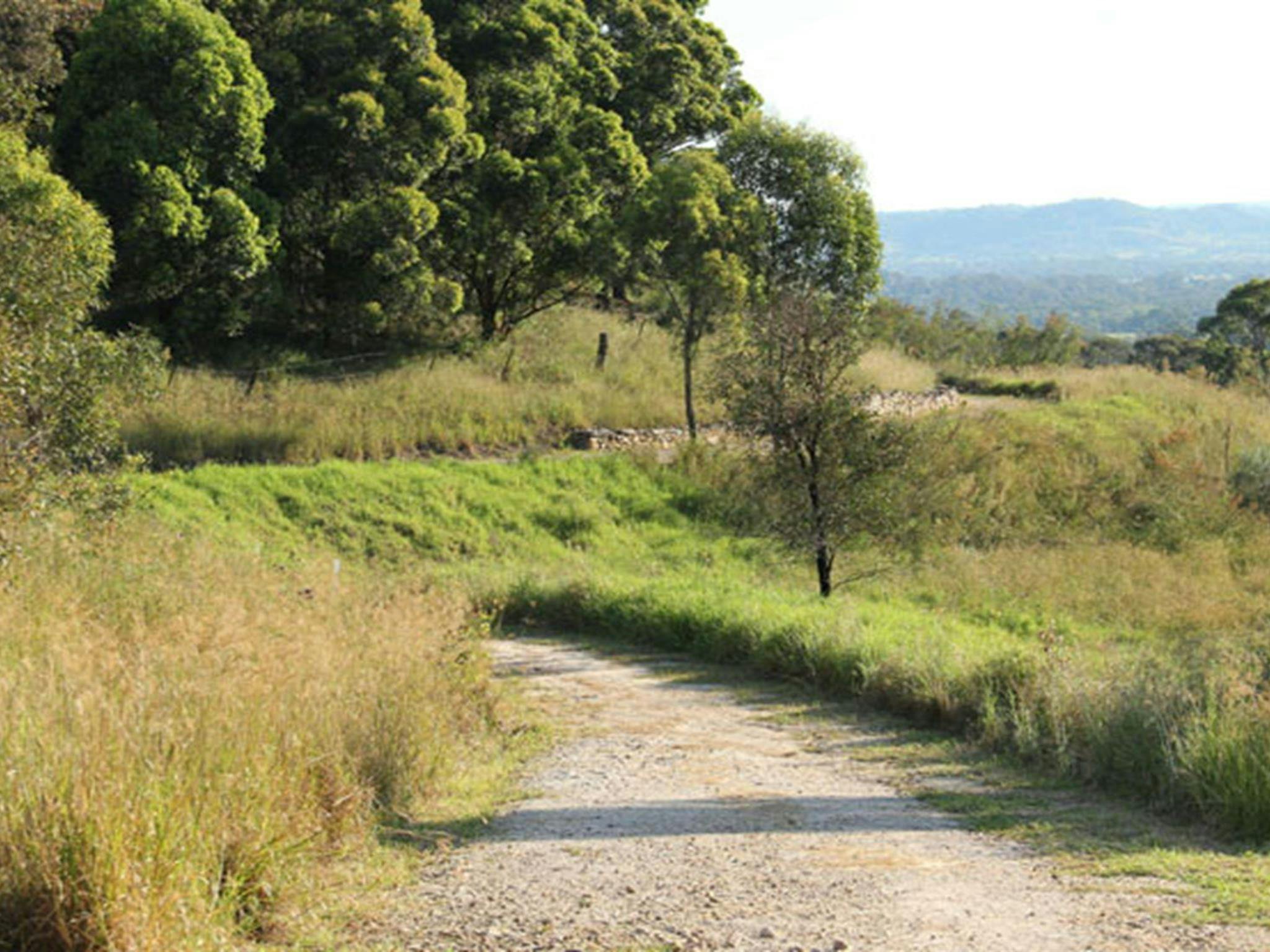 Loop trail, William Howe Regional Park. Photo: John Yurasek &copy; OEH