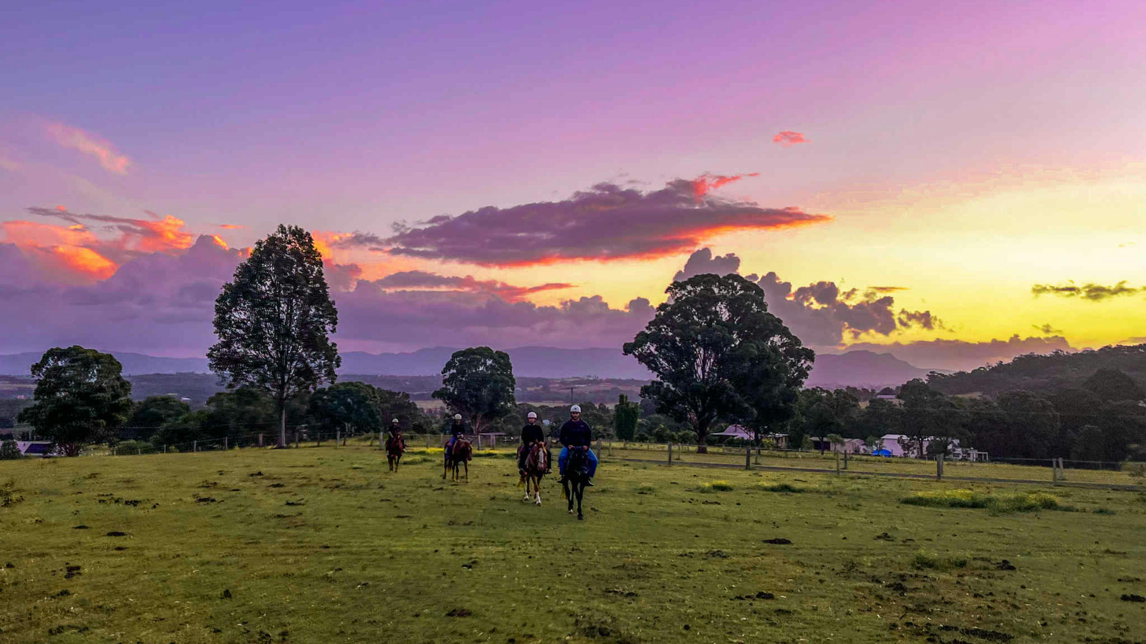 Lovedale Farm Stay  & Horseriding