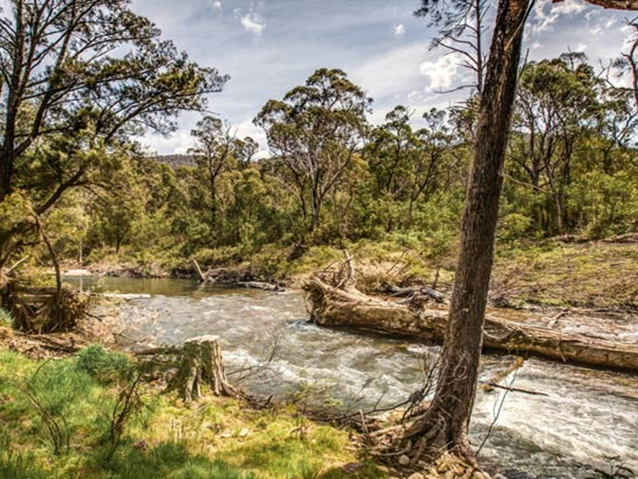 Campingplatz Lowells Flat, Brindabella-Nationalpark. Foto: Murray van der Veer/Regierung von New South Wales