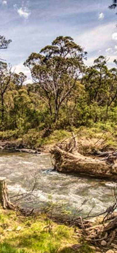 Lowells Flat campground, Brindabella National Park. Photo: Murray van der Veer/NSW Government