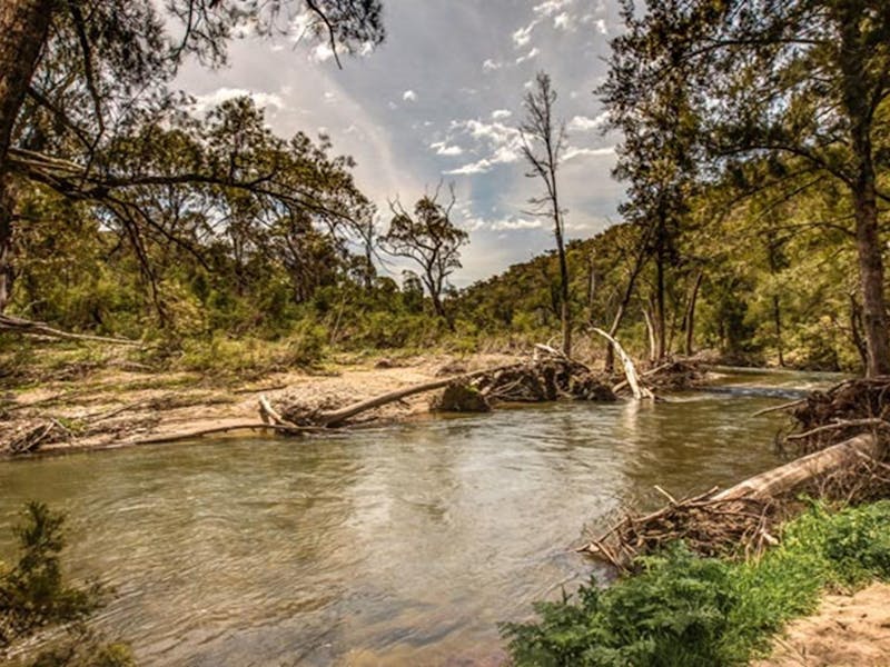 Image for Lowells Flat campground