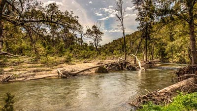 Lowells Flat campground, Brindabella National Park. Photo: Murray van der Veer/NSW Government