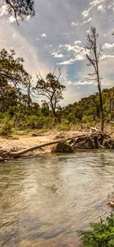 Lowells Flat campground, Brindabella National Park. Photo: Murray van der Veer/NSW Government