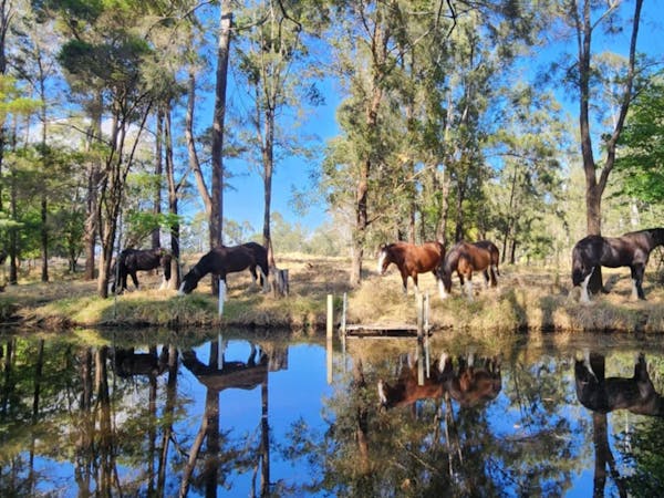 Camp By The Billabong