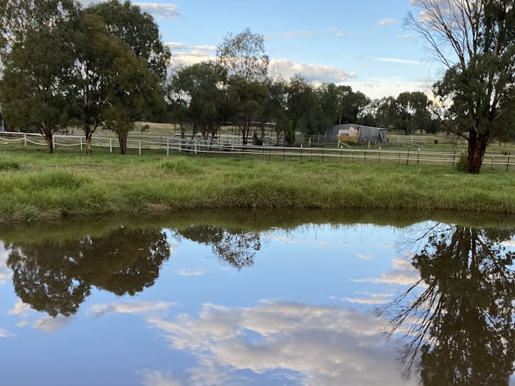 Lucky Horseshoe