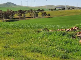 Belalie Wines Farmstay