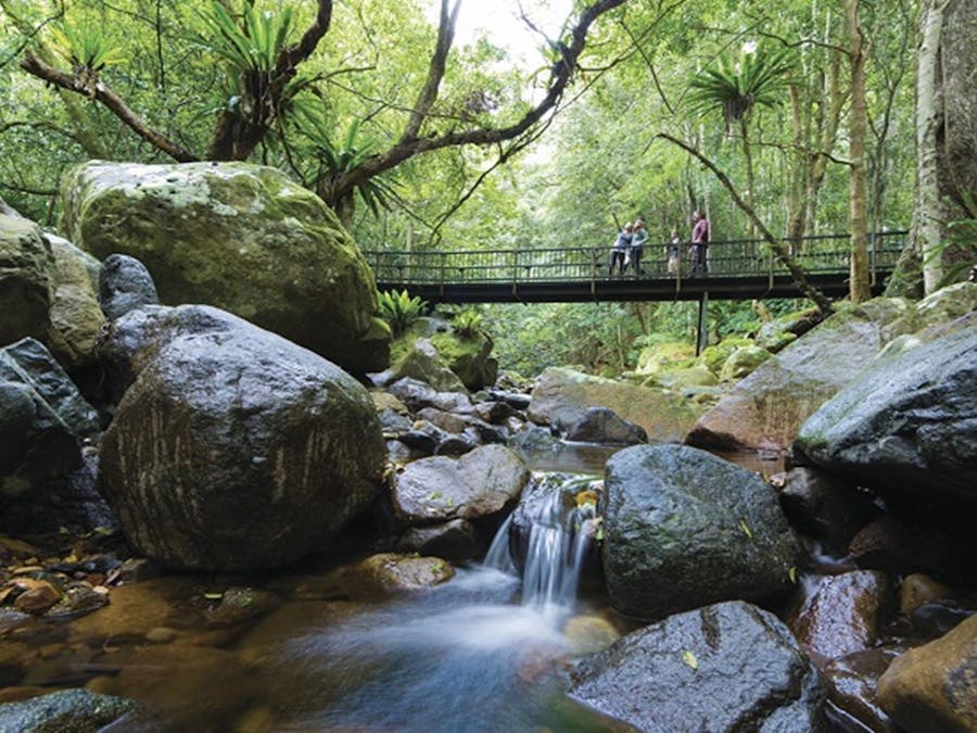 View of vistors walking across the creek along Lyrebird loop walk. Photo credit: David Finnegan