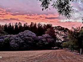 Corner campsite at sunset