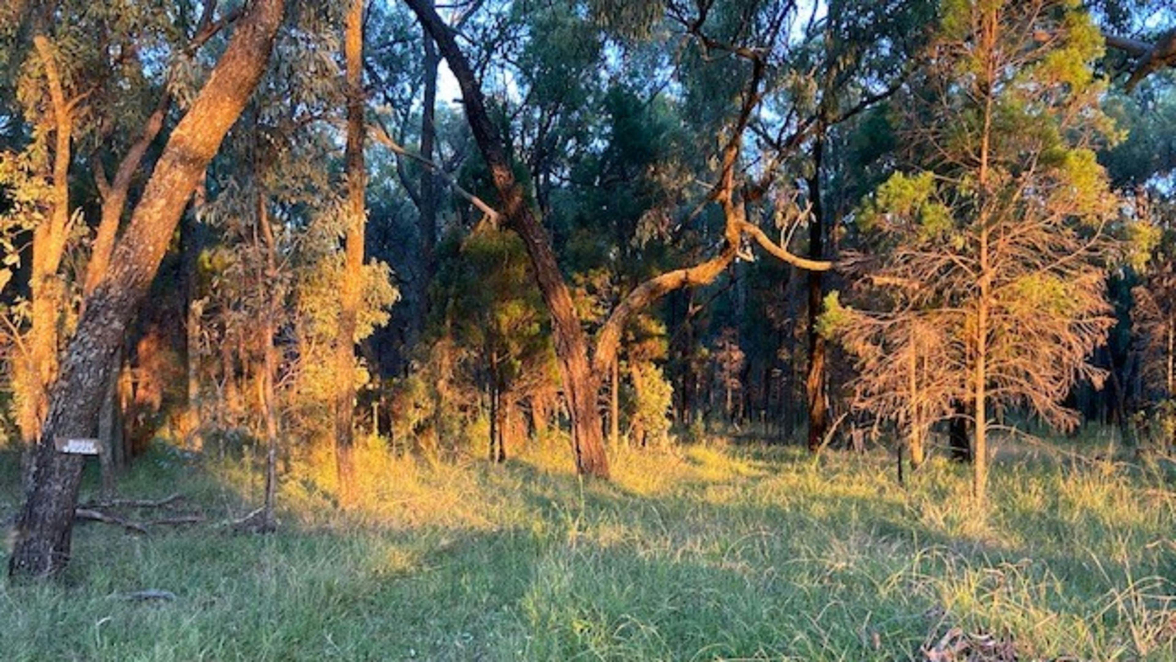 Maalaabidi Naturist Farm Stay