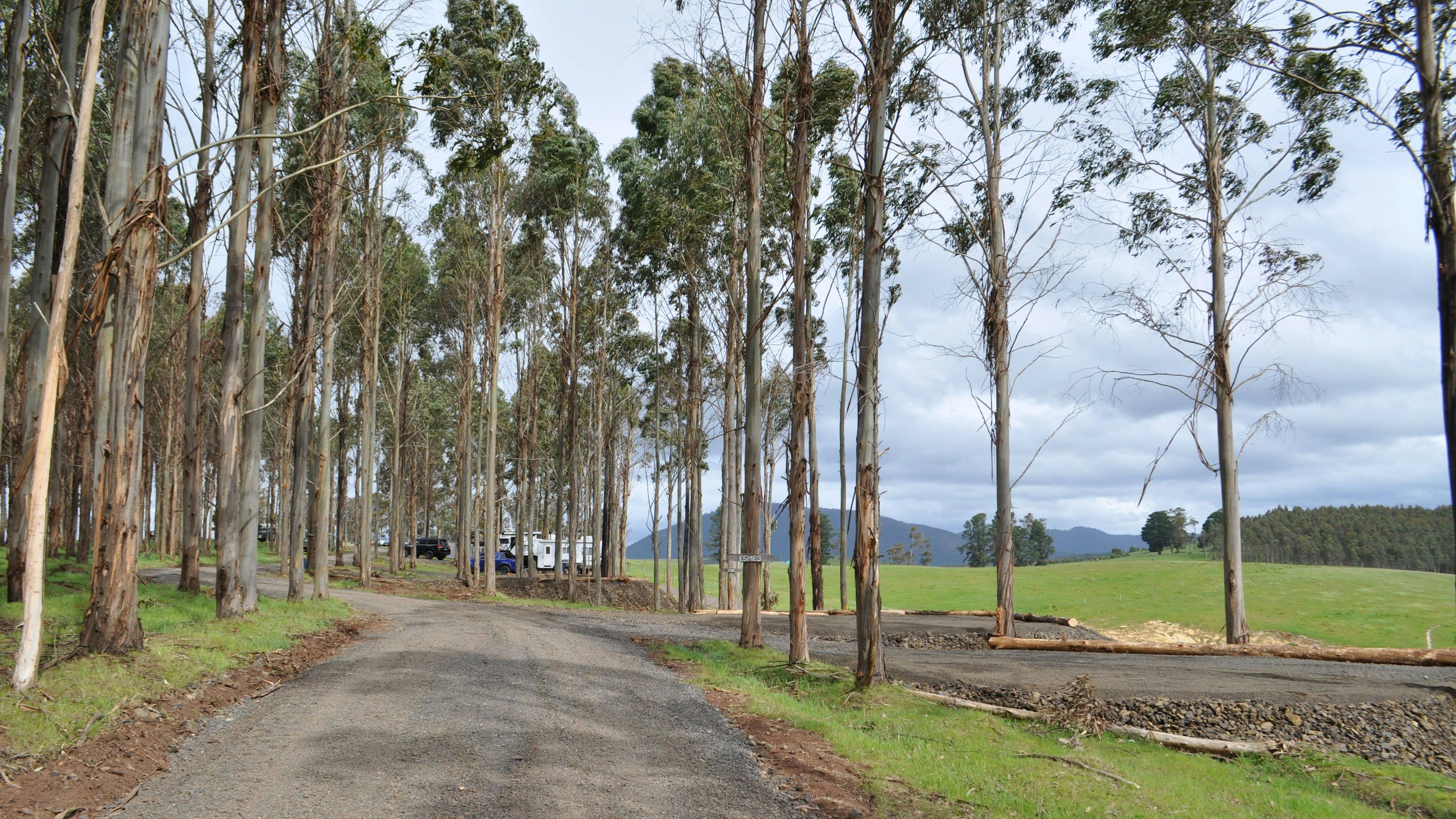 Mabel's Paddock RV Farm Stay