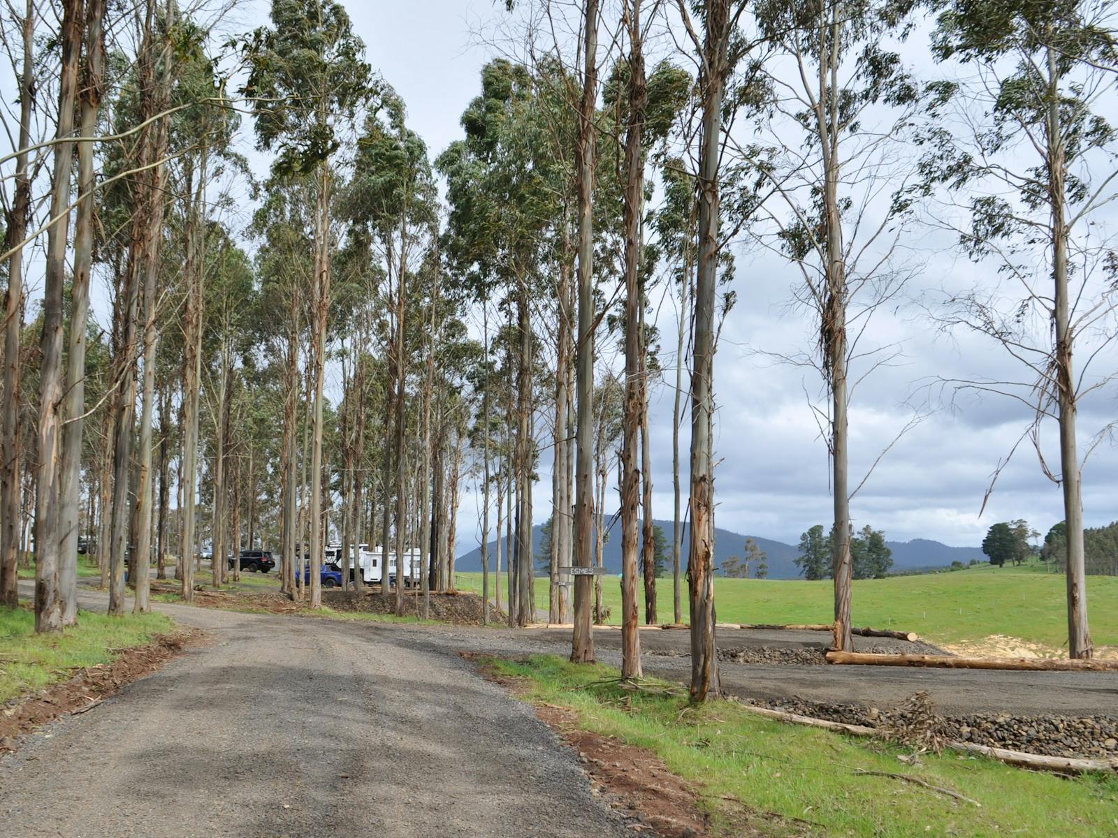 Mabel's Paddock RV Farm Stay