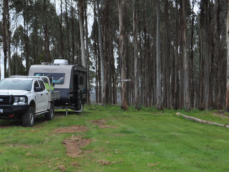 Mabel's Paddock RV Farm Stay
