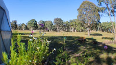 The Paddock view from the Dome.