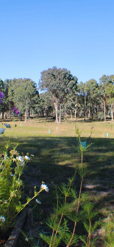 The Paddock view from the Dome.