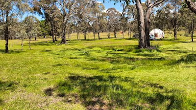the camping paddock