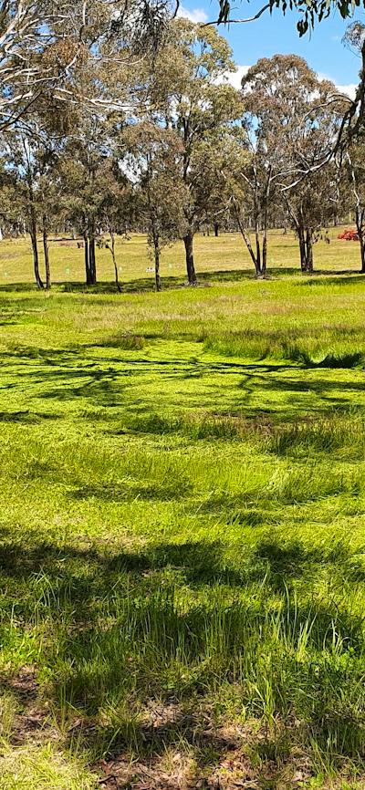 the camping paddock