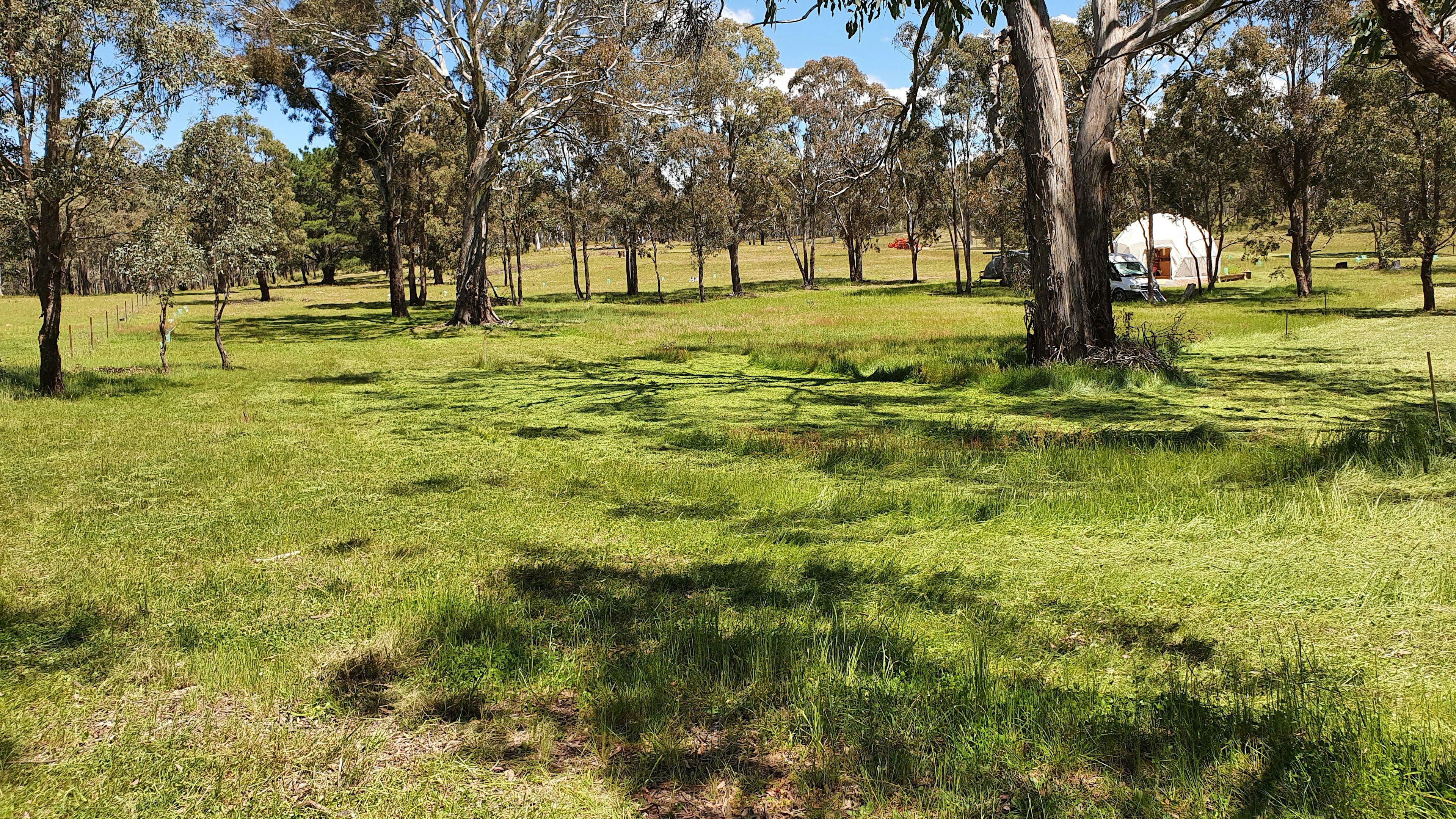 the camping paddock