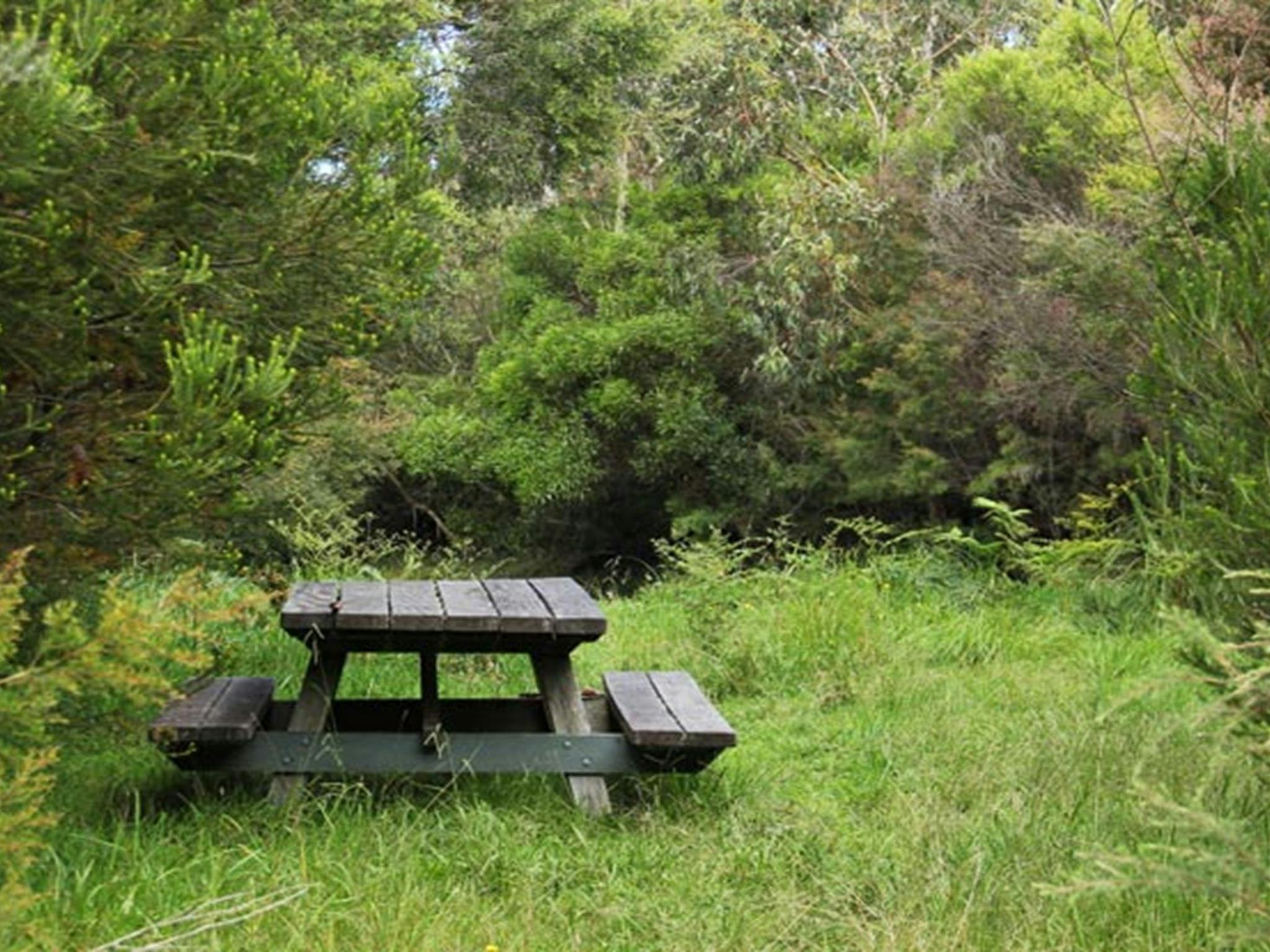 Picknickplatz Maddens Creek. Foto: John Yurasek © OEH