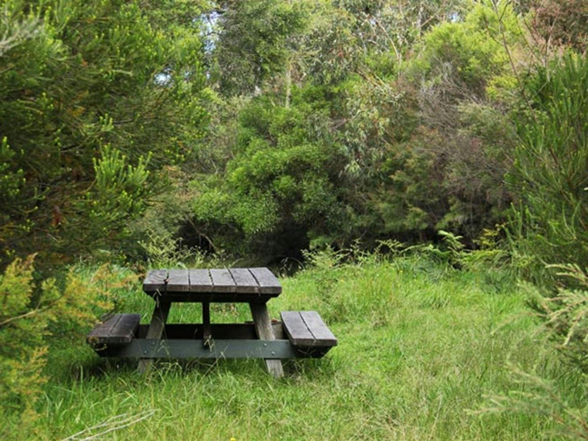 Maddens Creek picnic area. Photo: John Yurasek &copy; OEH