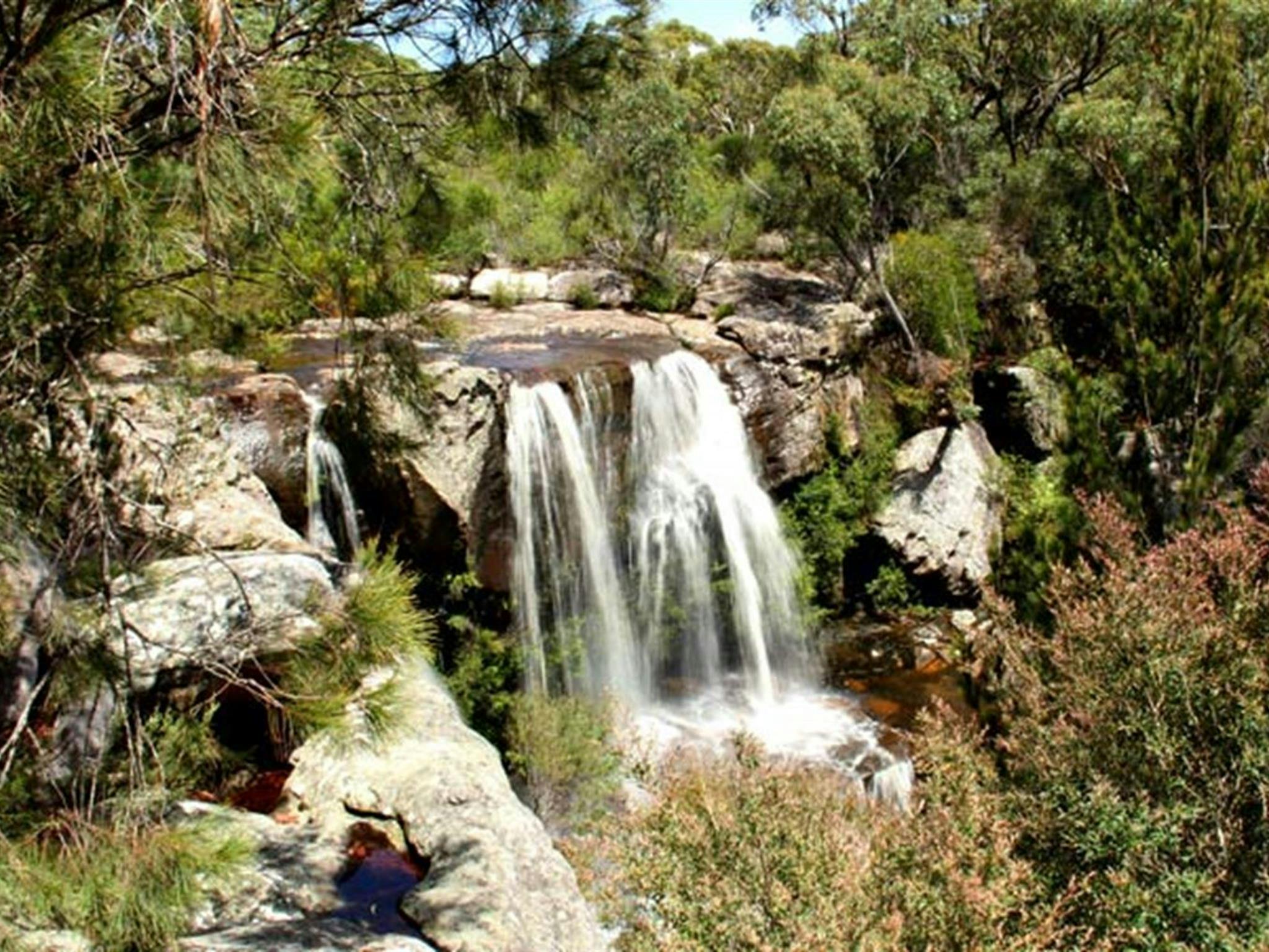 Maddens Falls lookout, Dharawal National Park. Photo: John Yurasek &copy; OEH