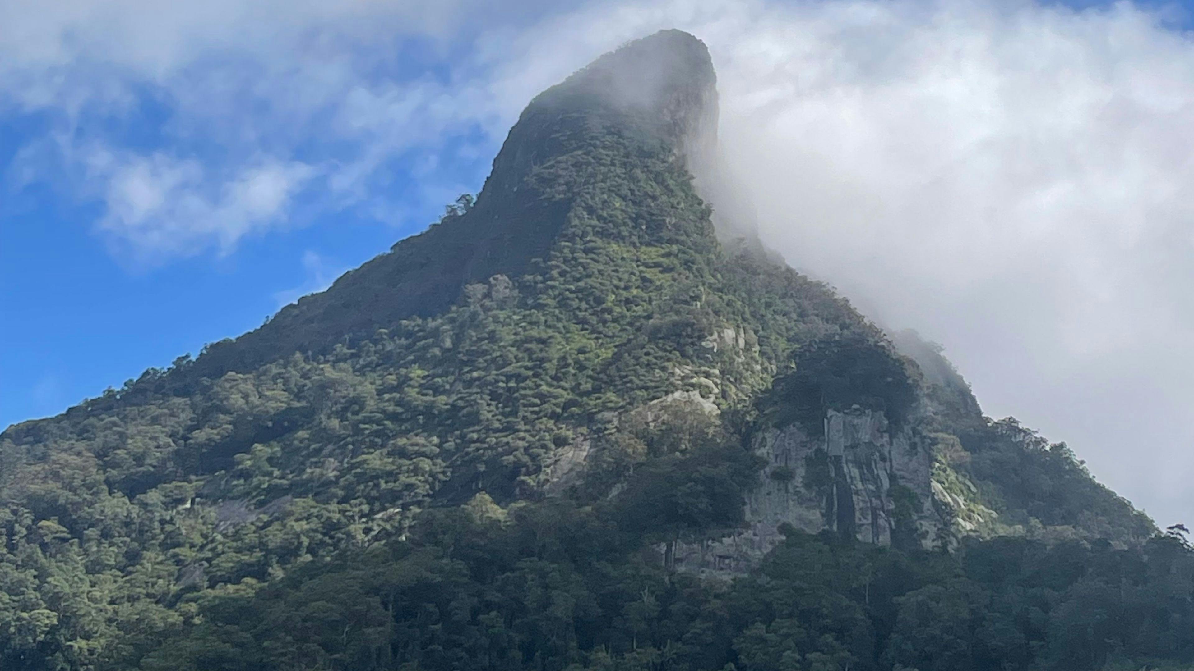 從房產頂部眺望沃寧山