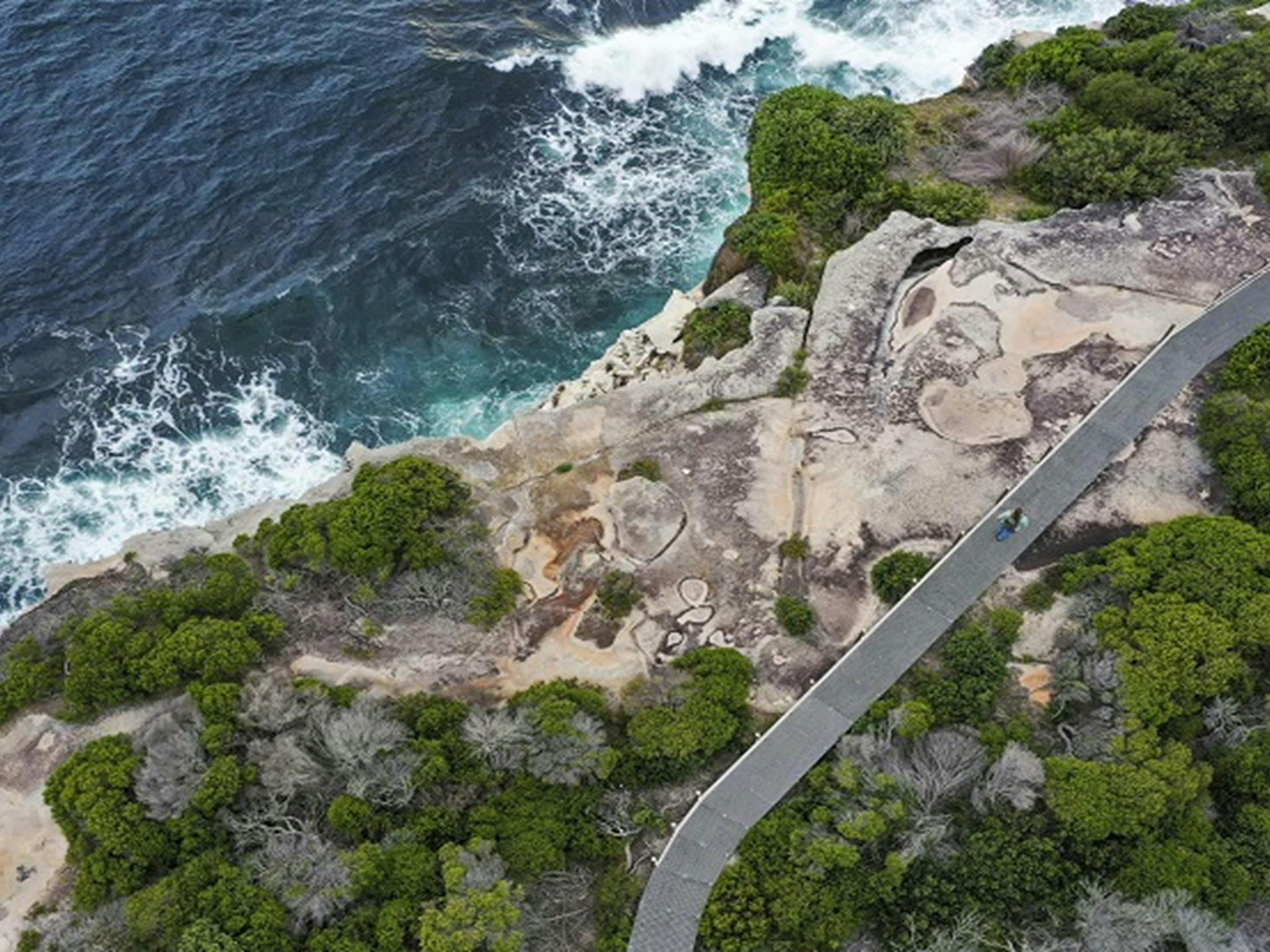 Aerial of cliffs, ocean and walking track boardwalk in Malabar Headland National Park. Photo: John