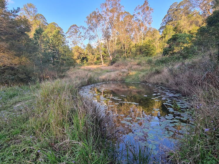 Manaakitanga