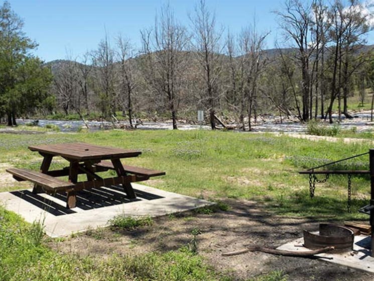 Mann River campground and picnic area, Mann River Nature Reserve. Photo credit: Leah Pippos &copy;