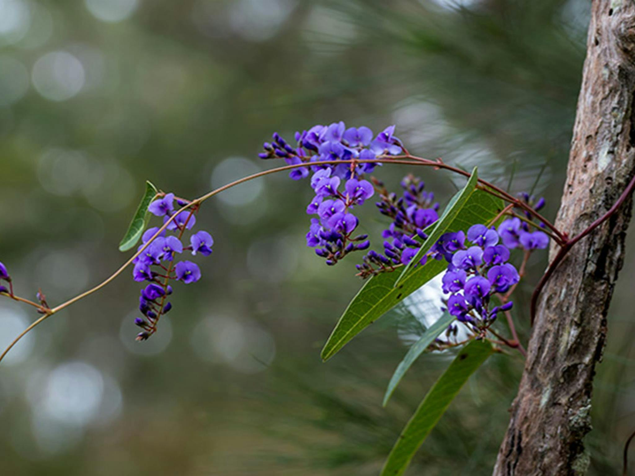 マンリバー自然保護区