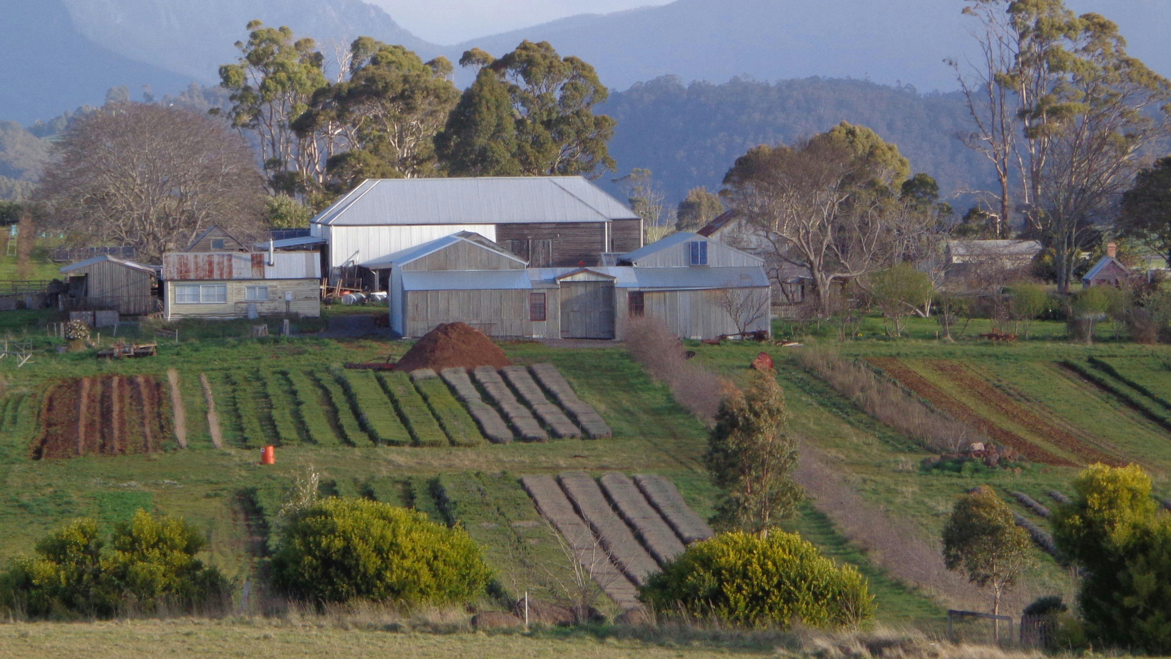 Marleen Herbs of Tasmania