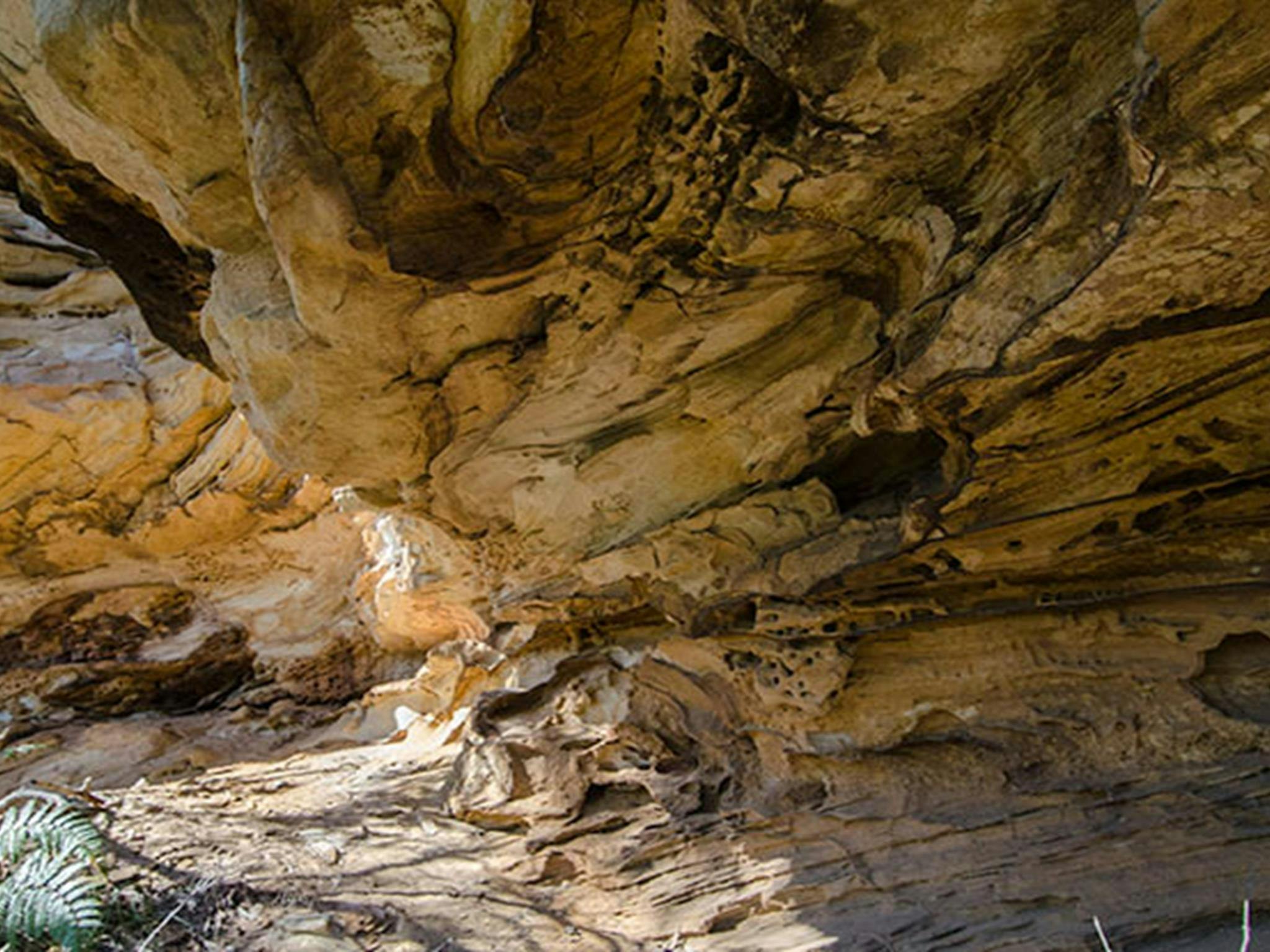 Marramarra National Park. Photo: John Spencer/NSW Government