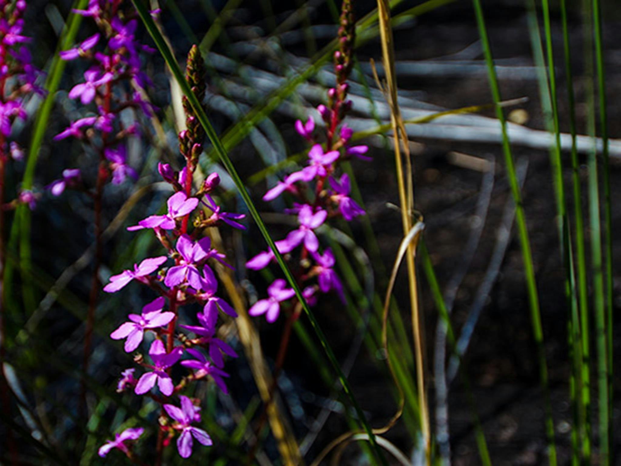 Marramarra National Park