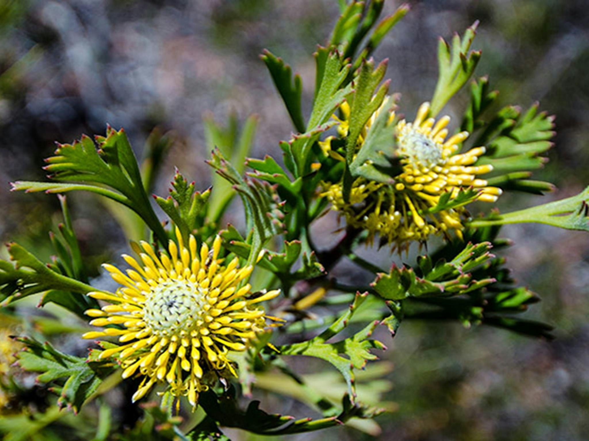 Marramarra National Park