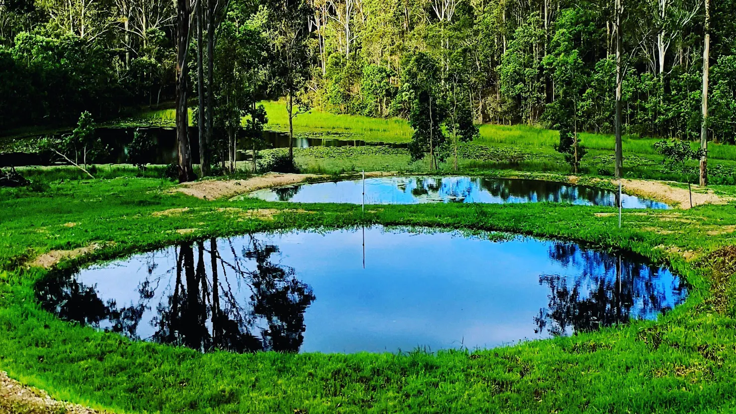 Maya Nature Park