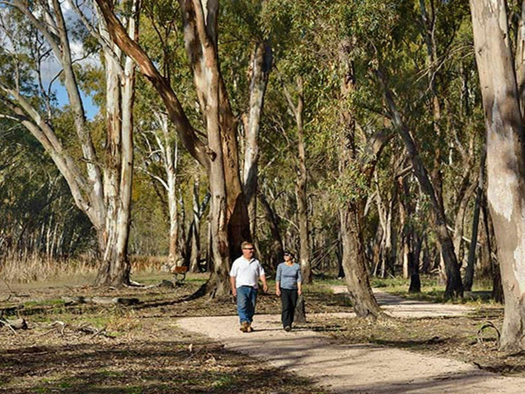 McCaugheys Lagoon, Murrumbidgee Valley National Park. Photo: Gavin Hansford &copy; OEH
