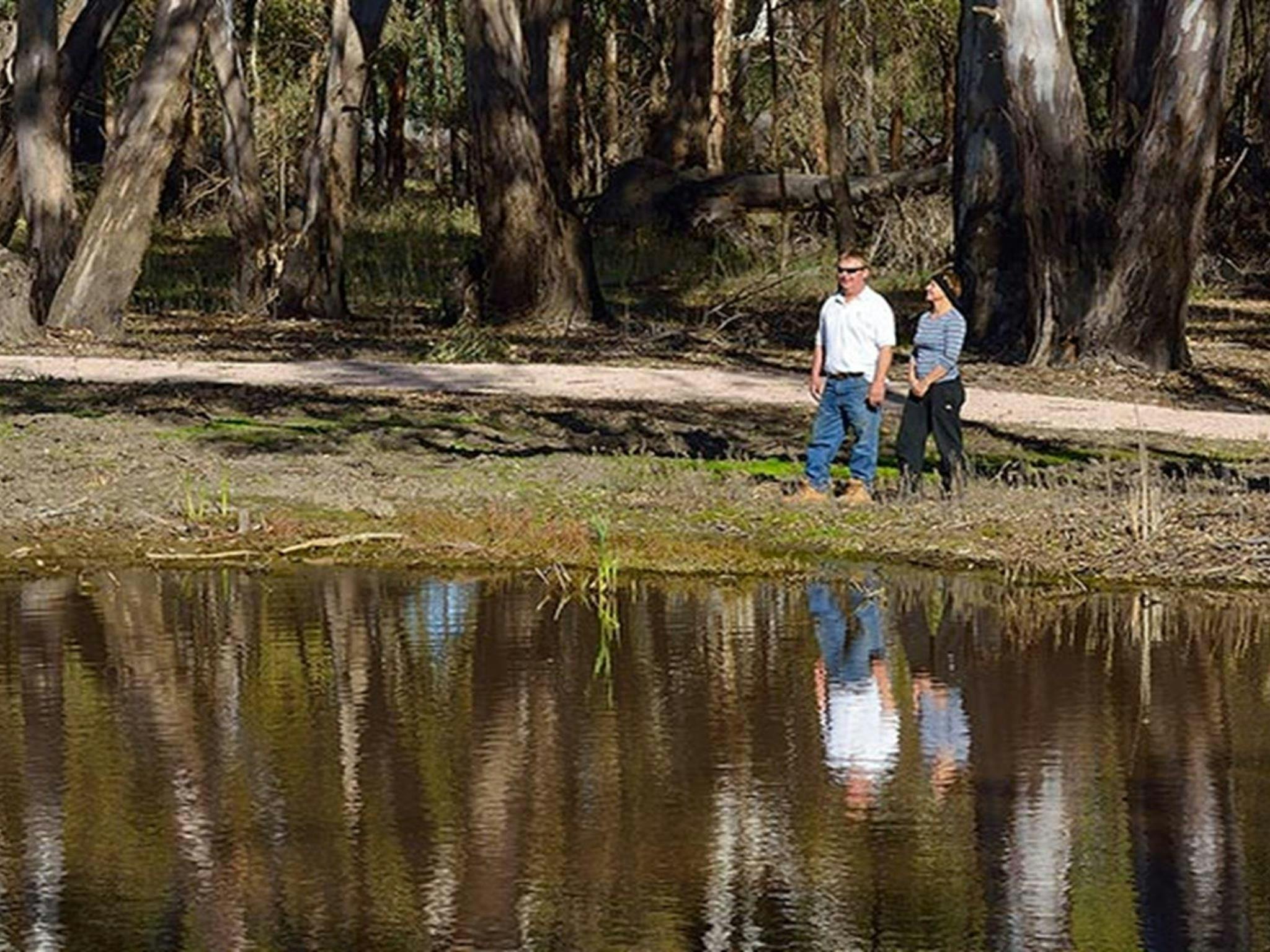 McCaugheys Lagoon, Murrumbidgee Valley National Park. Photo: Gavin Hansford &copy; OEH
