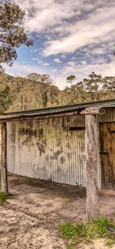 McIntyres campground, Brindabella National Park. Photo: Murray van der Veer/NSW Government