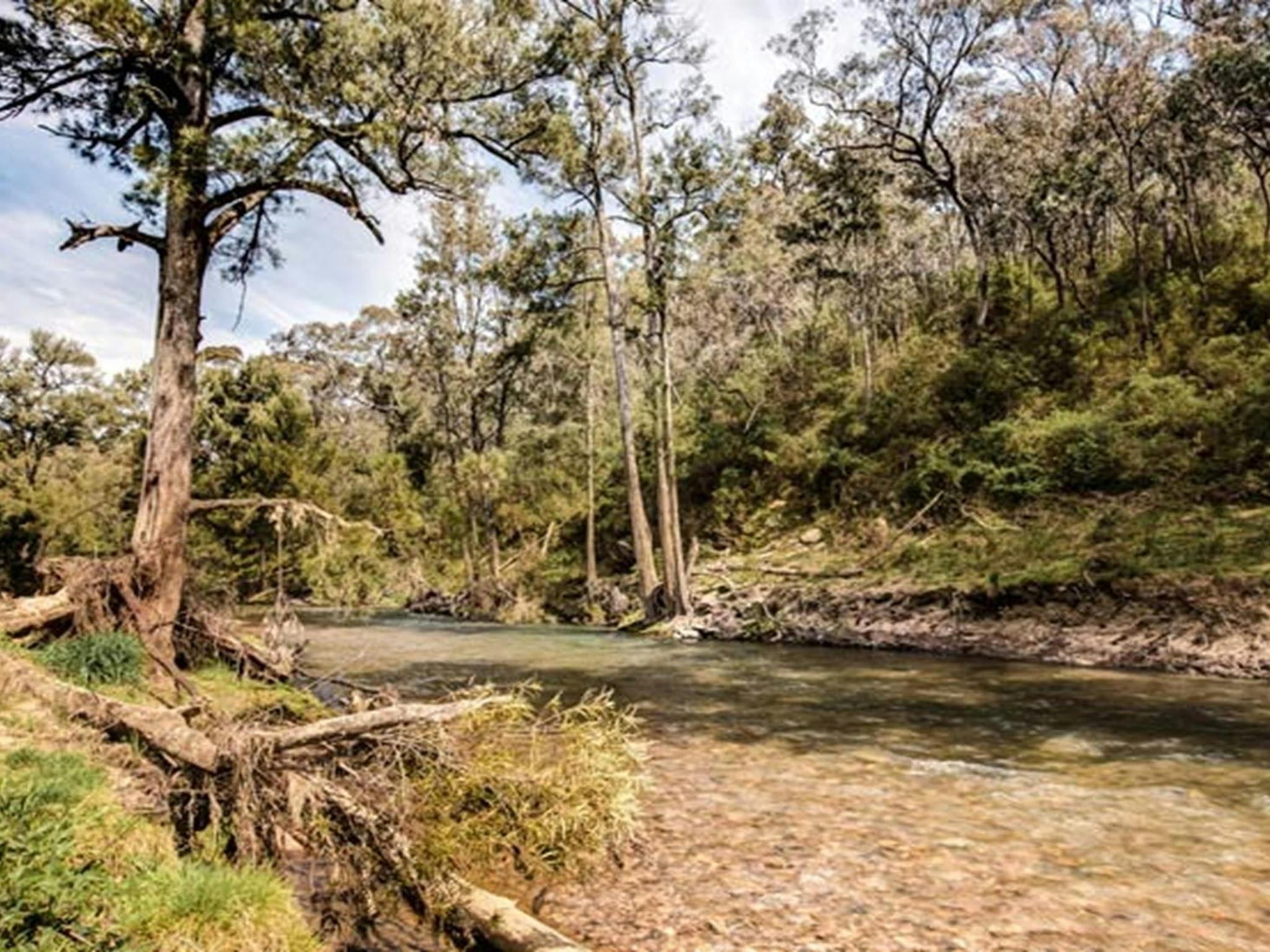 McIntyres campground, Brindabella National Park. Photo: Murray van der Veer/NSW Government