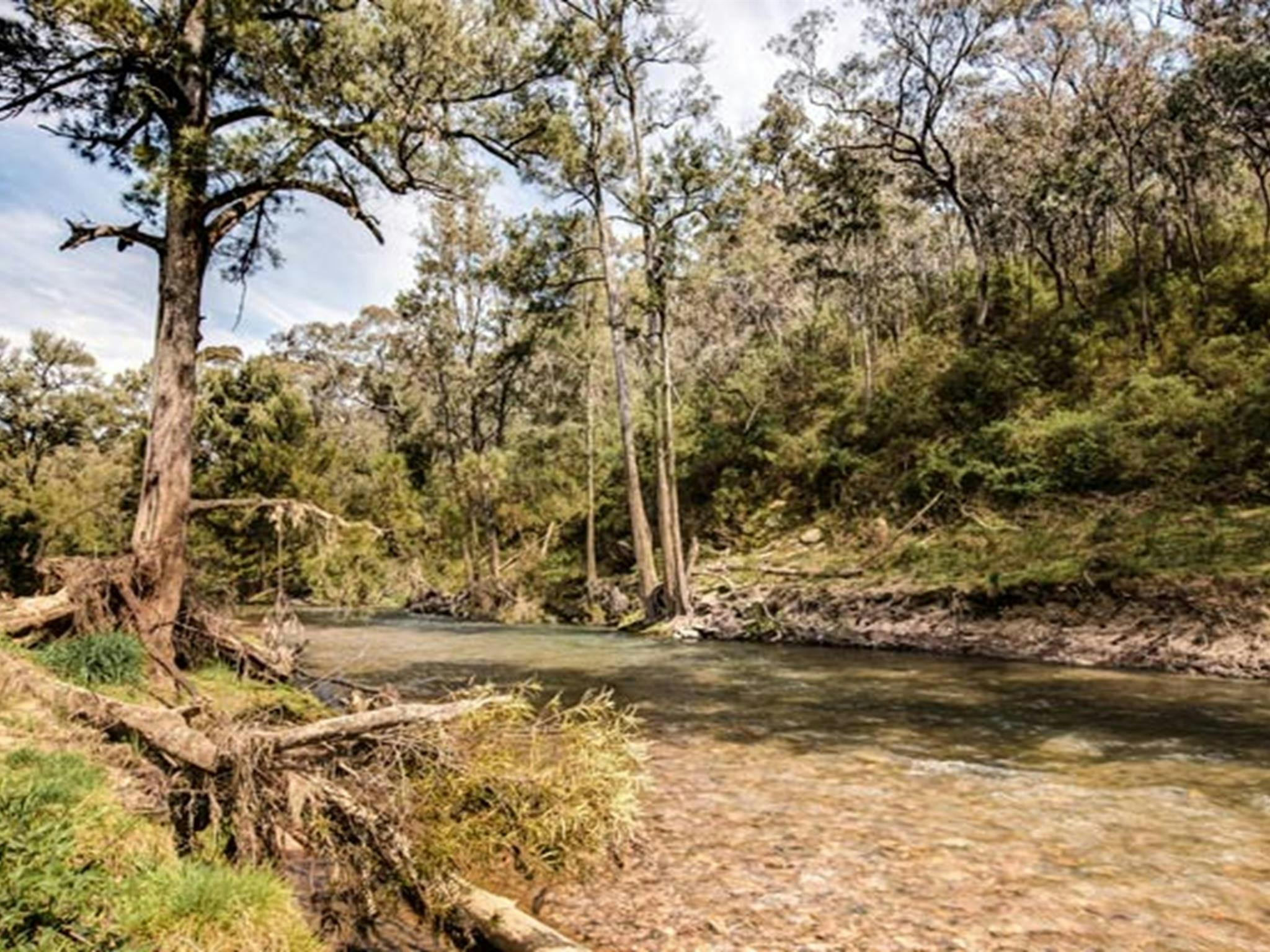 Campingplatz McIntyres, Brindabella-Nationalpark. Foto: Murray van der Veer/Regierung von New South Wales