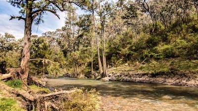 McIntyres campground, Brindabella National Park. Photo: Murray van der Veer/NSW Government