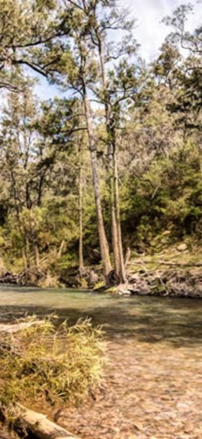 McIntyres campground, Brindabella National Park. Photo: Murray van der Veer/NSW Government