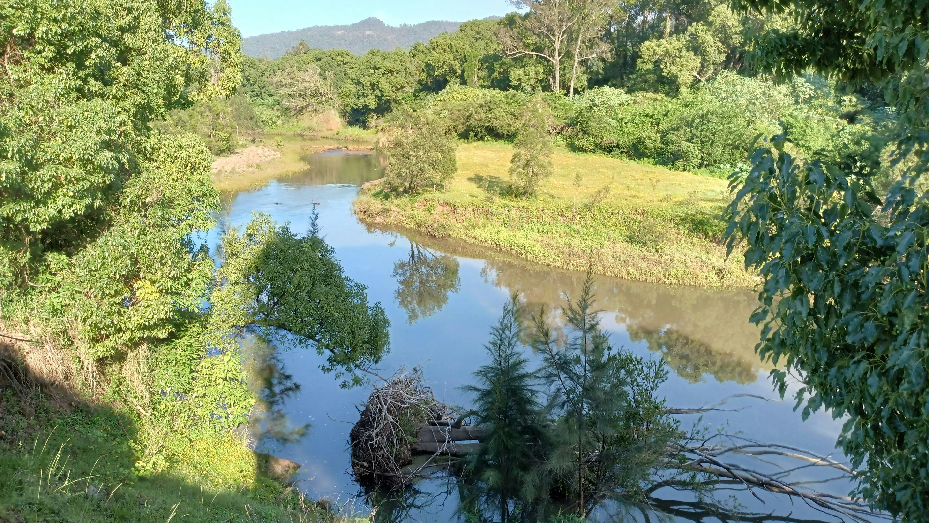 McKenzies Mountain, Wollumbin
