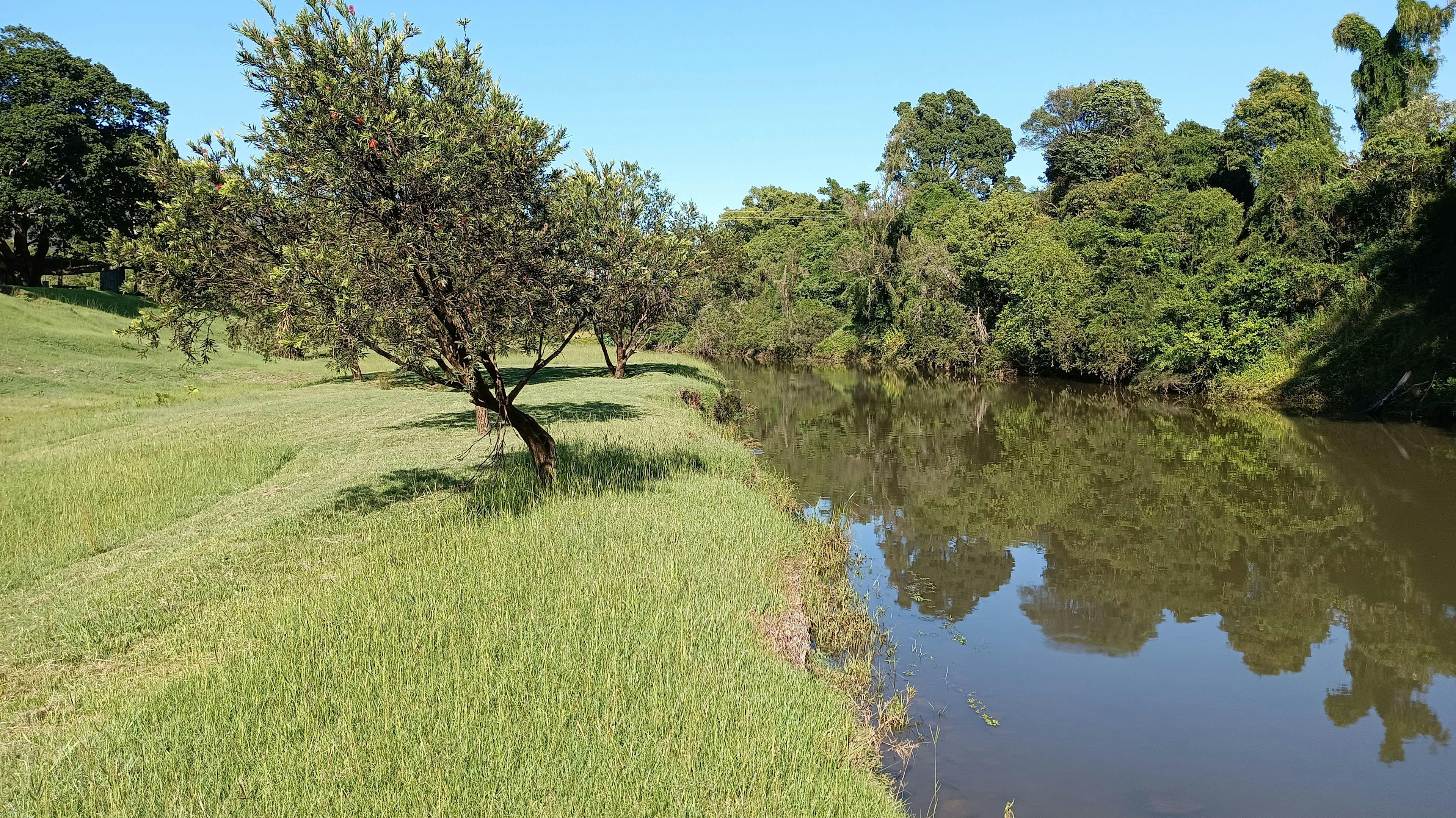 McKenzies Mountain, Wollumbin