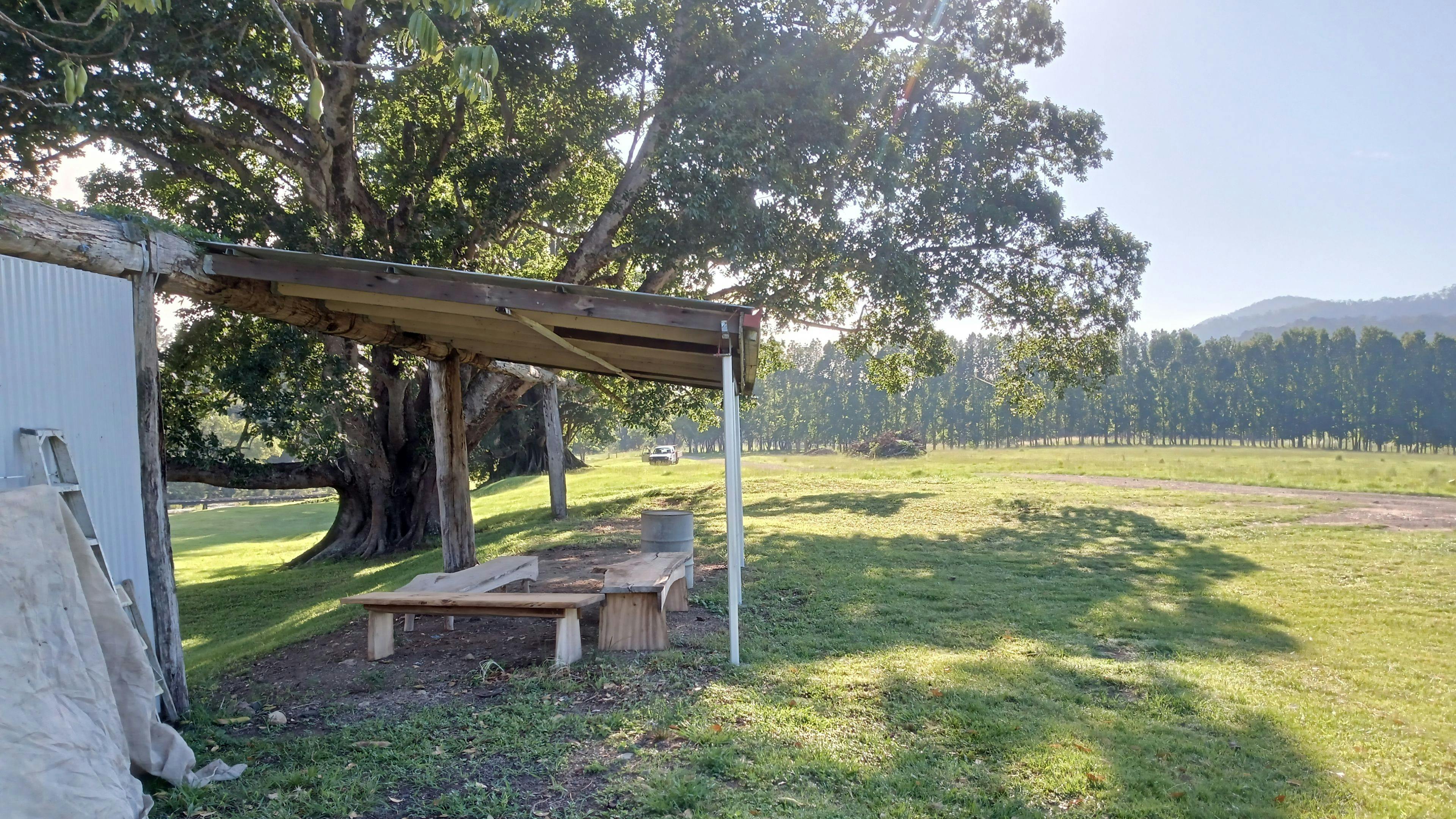 McKenzies Mountain, Wollumbin