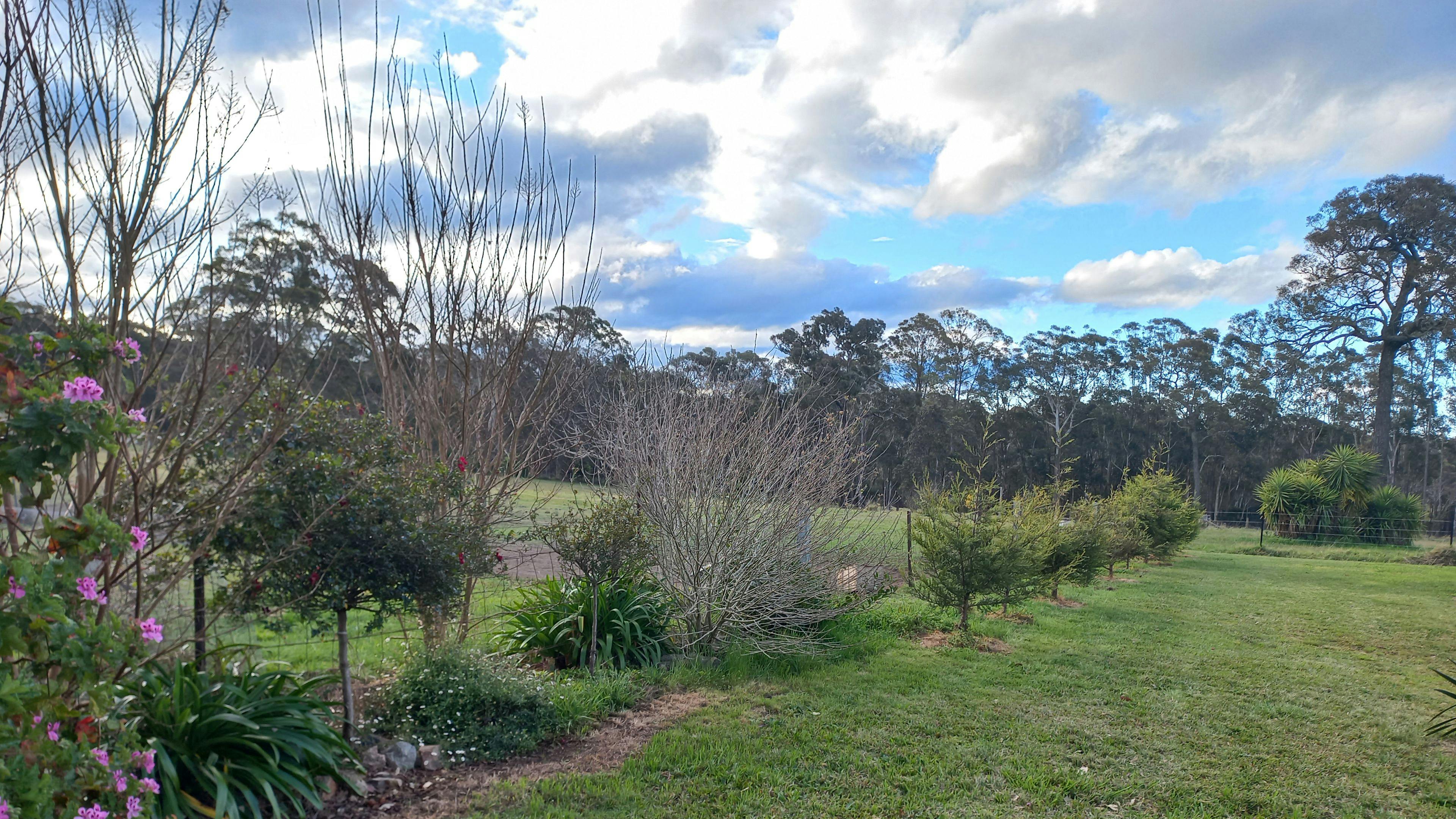 Melon Green at Oakdale