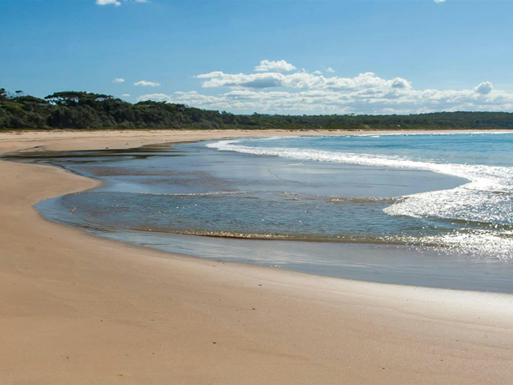 Meroo Head campground, Meroo National Park. Photo: Michael van Ewijk/OEH
