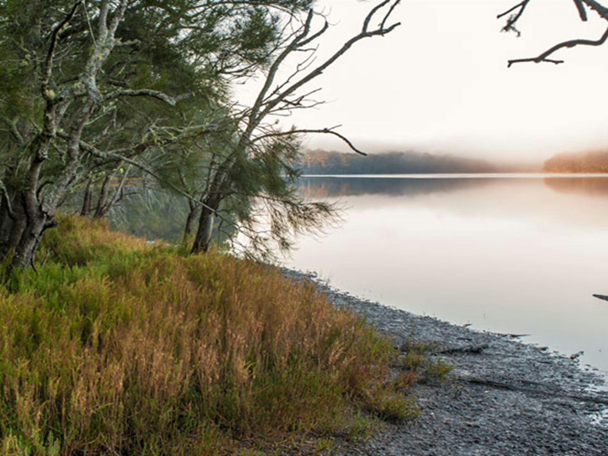 Meroo Lake walking track, Meroo National Park. Photo: Michael van Ewijk &copy; OEH