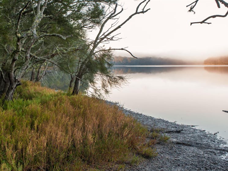 Meroo Lake walking track, Meroo National Park. Photo: Michael van Ewijk &copy; OEH